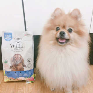 이예슬님이 올린 리뷰 사진 1