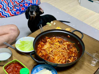 콩이누나님이 올린 리뷰 사진 1