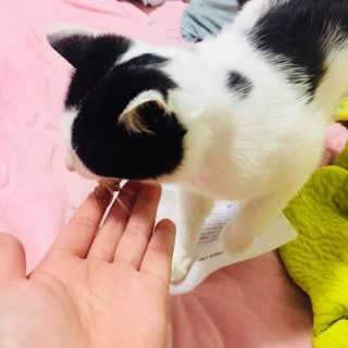 요쨔님이 올린 리뷰 사진 1