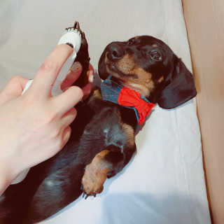 noname님이 올린 리뷰 사진 2