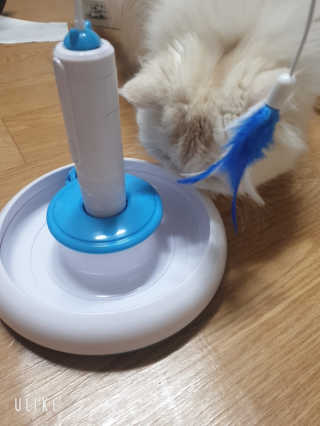 띵똥구님이 올린 리뷰 사진 1