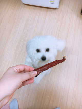 제주도에서 온 깨끗한 친환경 반려동물 음식 어글어글 — 4.83점을 준 리뷰어가 2018년 7월 올린 사용 사진