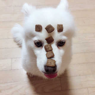누리님이 올린 리뷰 사진 3