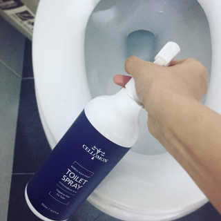 풀잎이님이 올린 리뷰 사진 2