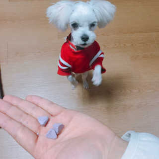 라리루리퐁퐁님이 올린 리뷰 사진 3