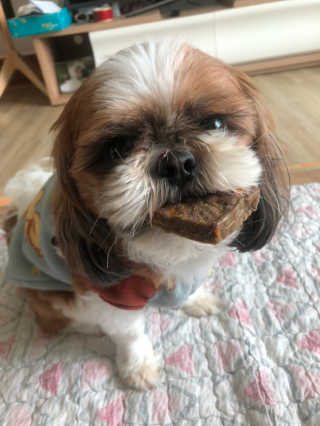 햄쓰님이 올린 리뷰 사진 2