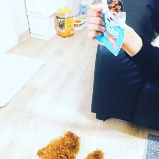 cola님이 올린 리뷰 사진 2