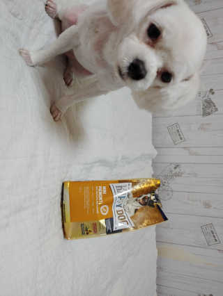 지니야님이 올린 리뷰 사진 1
