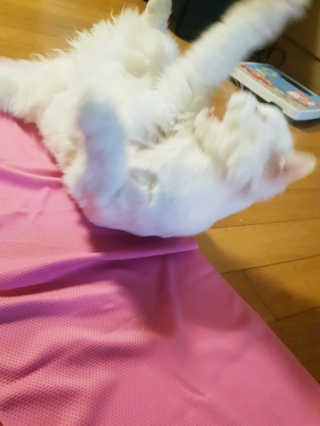 원블리님이 올린 리뷰 사진 2