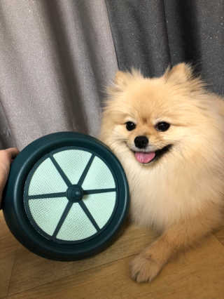 berryjjung님이 올린 리뷰 사진 3