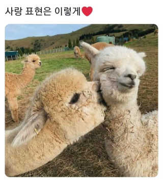 지언님이 올린 리뷰 사진 3
