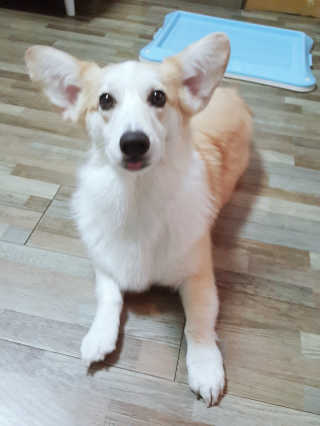 0814정똘님이 올린 리뷰 사진 3