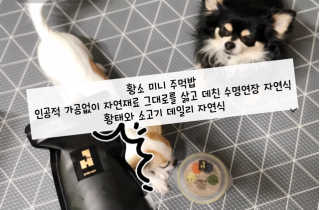 주식회사 개화 유통기한이 짧은 개밥 - 황소 비빔밥, 황소 주먹밥 — 5점을 준 리뷰어가 2019년 2월 올린 사용 사진