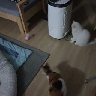 옘둥님이 올린 리뷰 사진 4