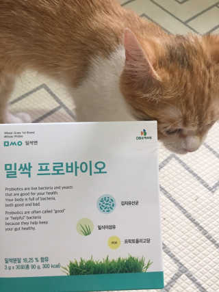 쿠키순대맘님이 올린 리뷰 사진 3