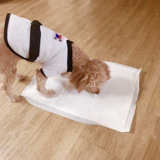 minji님이 올린 리뷰 사진 1