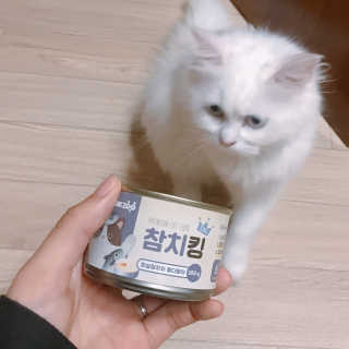 례진님이 올린 리뷰 사진 1
