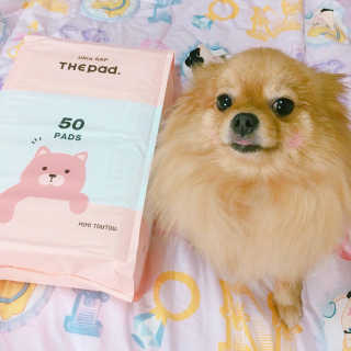 희님이 올린 리뷰 사진 1