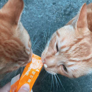 sseung님이 올린 리뷰 사진 3