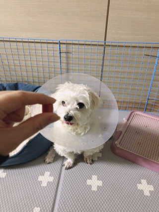 투미니언즈님이 올린 리뷰 사진 4
