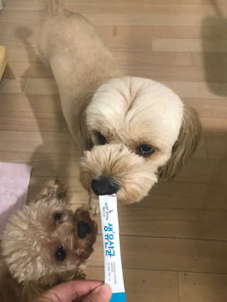 [빙그레] 에버그로 생유산균 1봉（10포입）+펫밀크2팩 — 3.5점을 준 리뷰어가 2019년 5월 올린 사용 사진