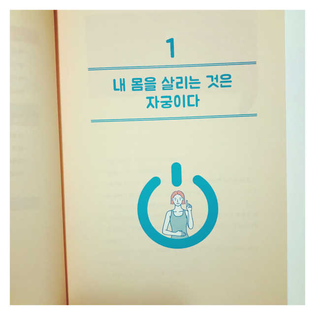 자궁 리셋 리뷰 사진