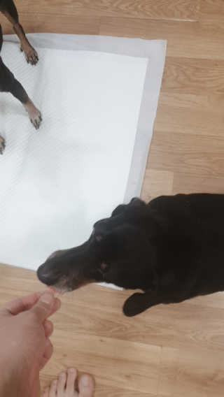 송돌핑핑파더님이 올린 리뷰 사진 3