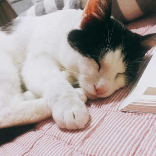 한라봉님이 올린 리뷰 사진 3