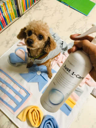 애리미님이 올린 리뷰 사진 2