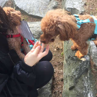 강민지님이 올린 리뷰 사진 2