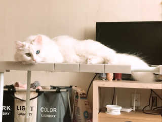 varied님이 올린 리뷰 사진 1