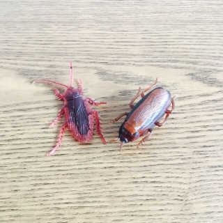 최지은님이 올린 리뷰 사진 1