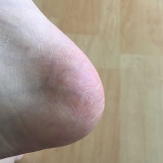 안지님이 올린 리뷰 사진 2