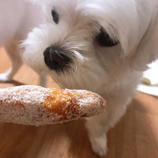 채꽃신님이 올린 리뷰 사진 4