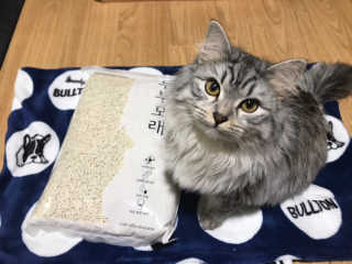 배융빵님이 올린 리뷰 사진 3