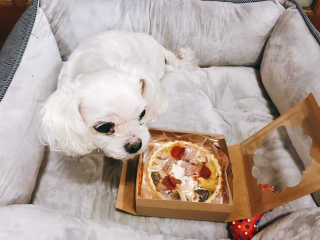 연이님이 올린 리뷰 사진 3