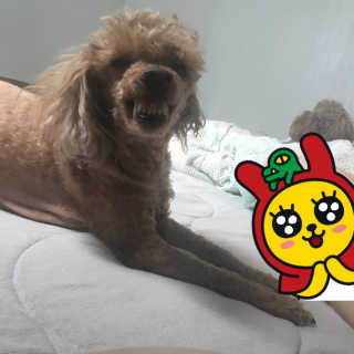 소리나리님이 올린 리뷰 사진 3