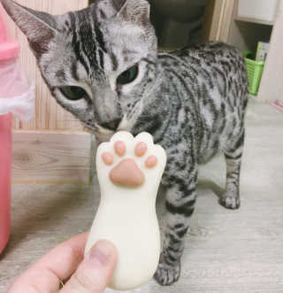 림링님이 올린 리뷰 사진 1