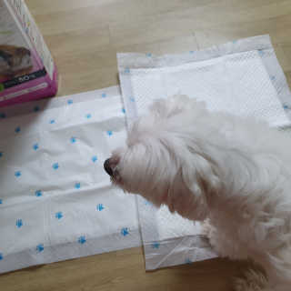 케키님이 올린 리뷰 사진 4