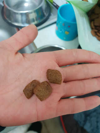 100님이 올린 리뷰 사진 2