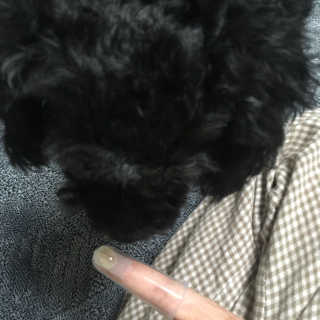 장다원님이 올린 리뷰 사진 2