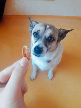 효졍찌님이 올린 리뷰 사진 2