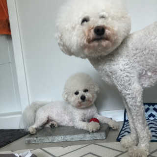 윤토마토님이 올린 리뷰 사진 2