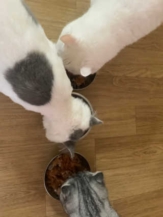 쏭지님이 올린 리뷰 사진 3