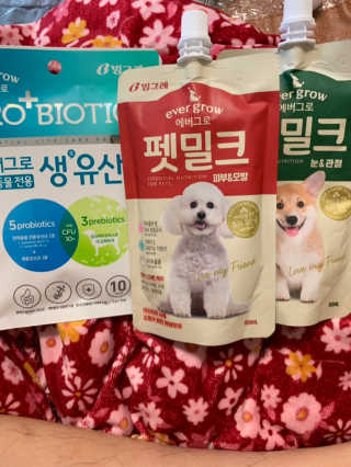 [빙그레] 에버그로 생유산균 1봉（10포입）+펫밀크2팩 — 5점을 준 리뷰어가 2019년 6월 올린 사용 사진