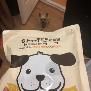 [펫토리아] 맛도 영양도 BEST 한끼뚝딱 강아지 사료 — 5점을 준 리뷰어가 2018년 12월 올린 사용 사진