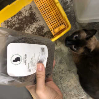 YelinJang님이 올린 리뷰 사진 2