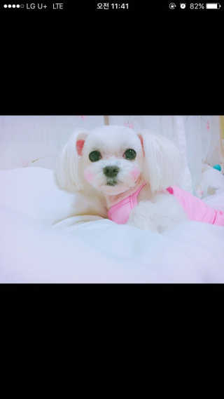 셔누님이 올린 리뷰 사진 1