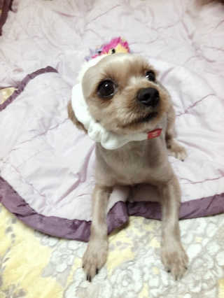 박소희님이 올린 리뷰 사진 2
