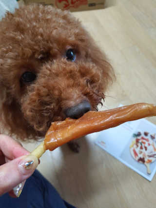 호호엄마님이 올린 리뷰 사진 3